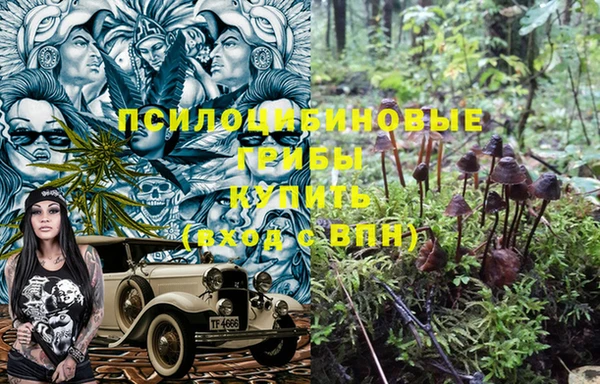 мдпв Алексин