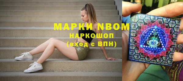 прущий лед Алзамай
