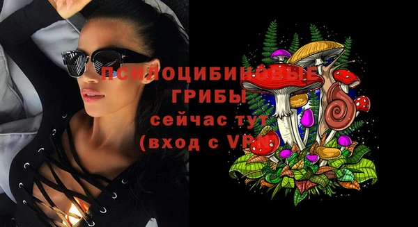 прущий лед Алзамай