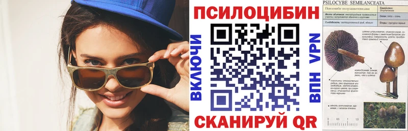 блэк спрут ТОР  Пикалёво  Галлюциногенные грибы Cubensis 